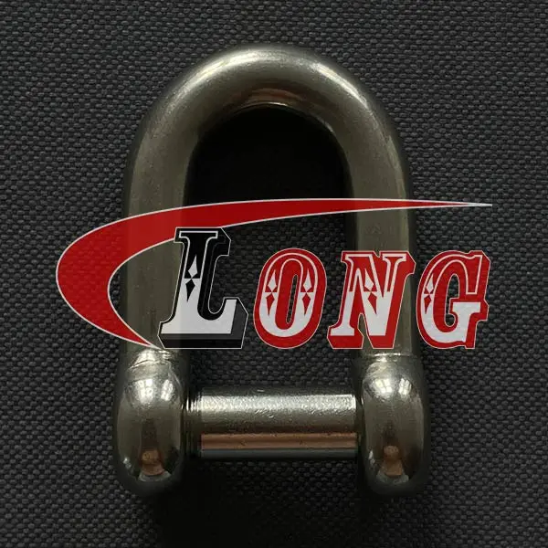 D shackle hexagon socket head pin stainless steel