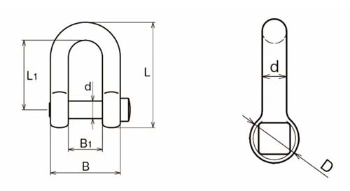 trawling-d-shackle-square-head-pin-self-colored-european-type-drawing-lg-rigging.jpg