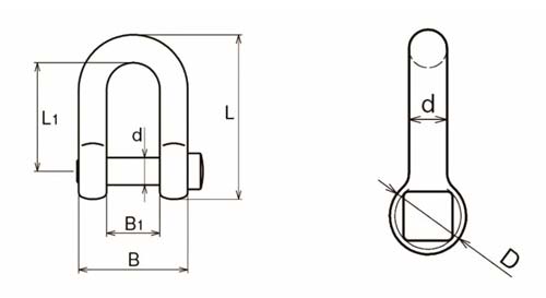 trawling-d-shackle-square-head-pin-yellow-powder-coated.jpg