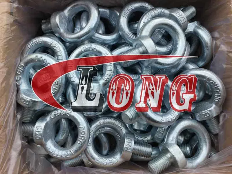 LGRIG® DIN580 Eye Bolt Galvanized