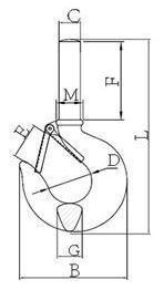 drawing-shank-hook-with-latch-alloy-steel-grade-70-lgrig.jpg