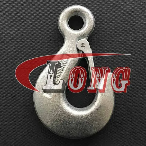 LGRIG® Lifting Eye Hook with Latch DIN689