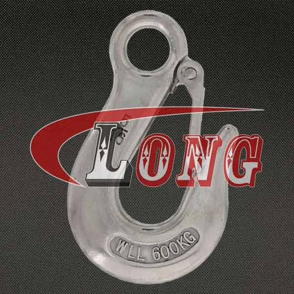 LGRIG® Eye Slip Hook with Latch Stainless Steel