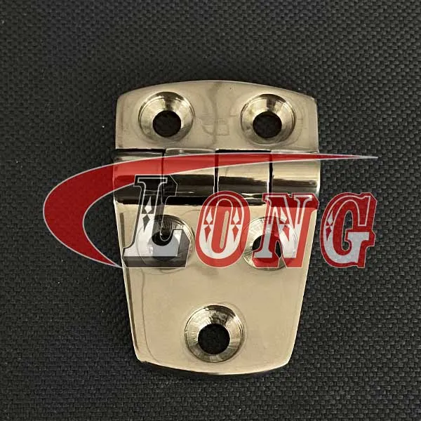 LGRIG®-stainless-steel-countersunk-hinge